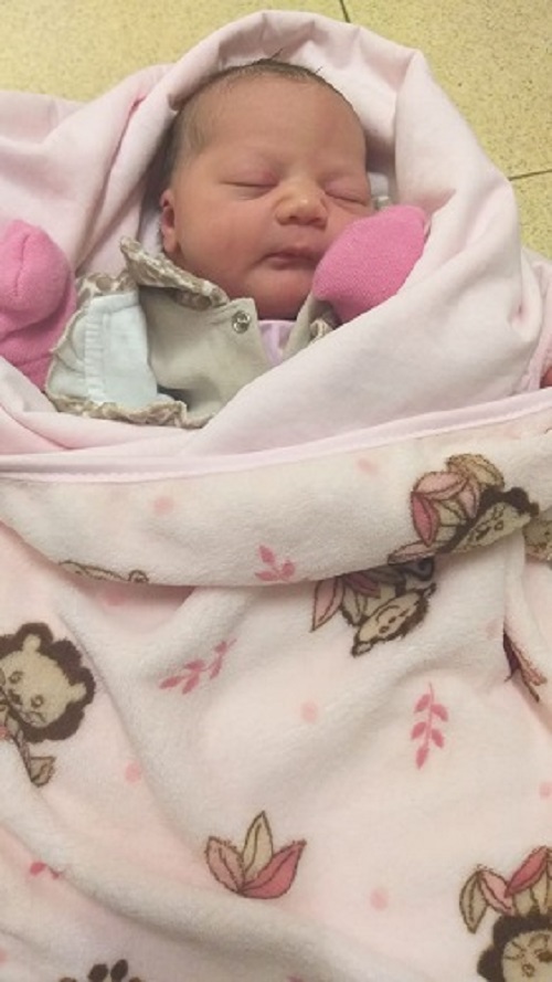 Eliza Vitoria Freitas Polveiro