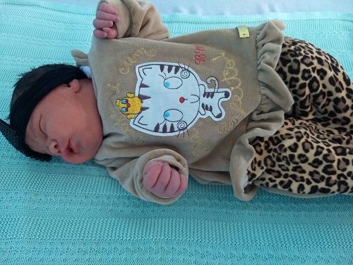 Luiza Guedes dos Santos