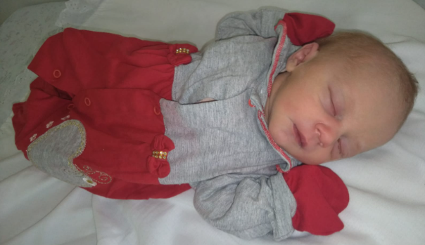 Iris Z. do N. de Almeida